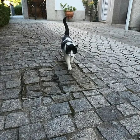 卡萨圣多明戈斯住宿加早餐旅馆
