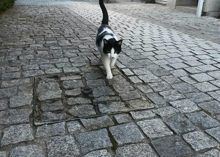 Casa De Sao Domingos